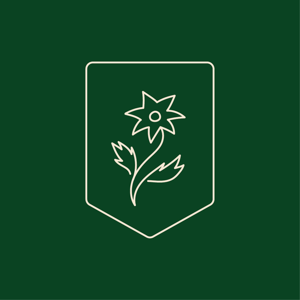 Tribe of Reuben • Month of Tamuz • Power of the Ruby